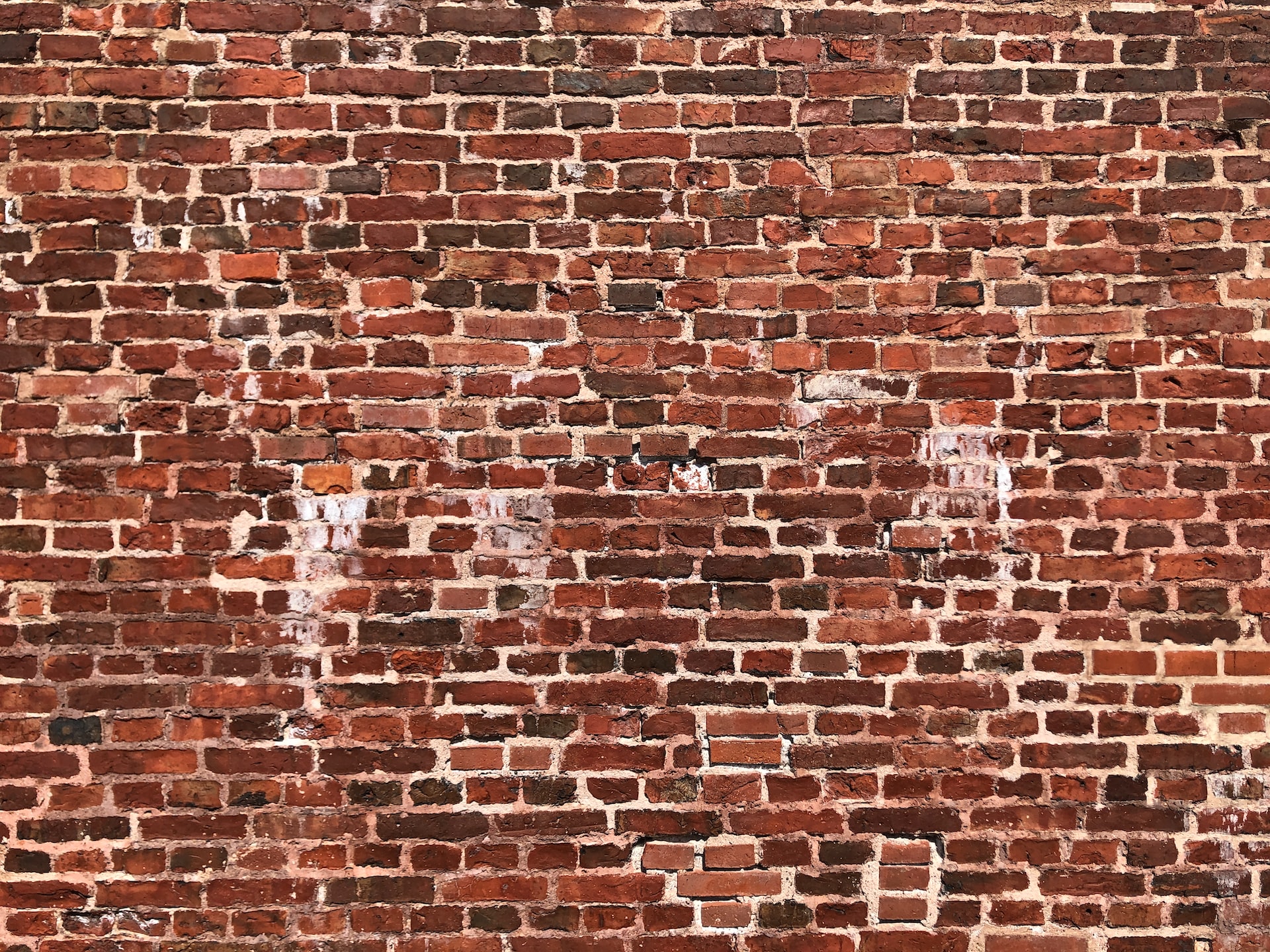 efflorescence on brick wall